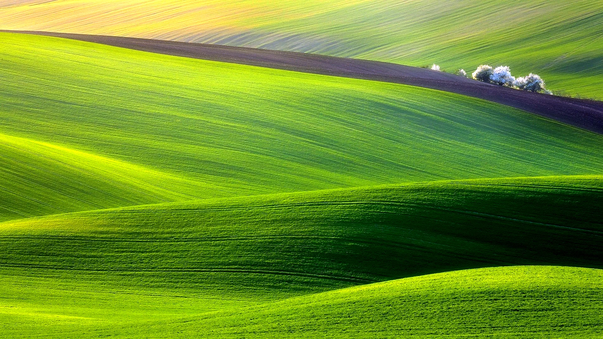 Green Fields Hills Wallpaper