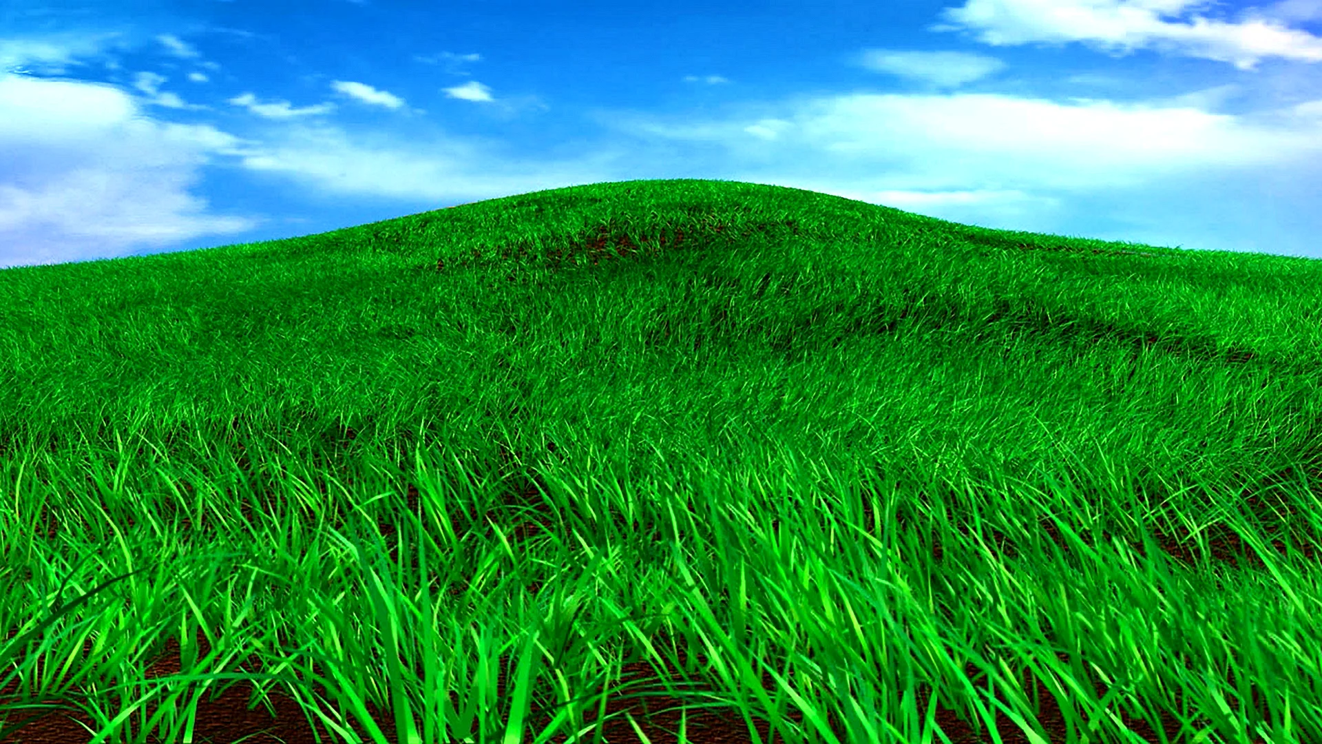 Green Grass Wallpaper