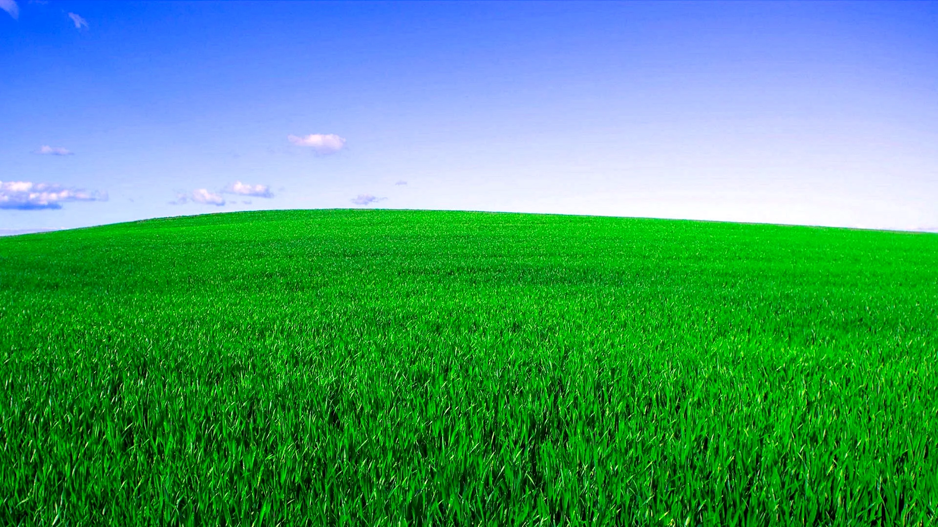 Green Grass Wallpaper