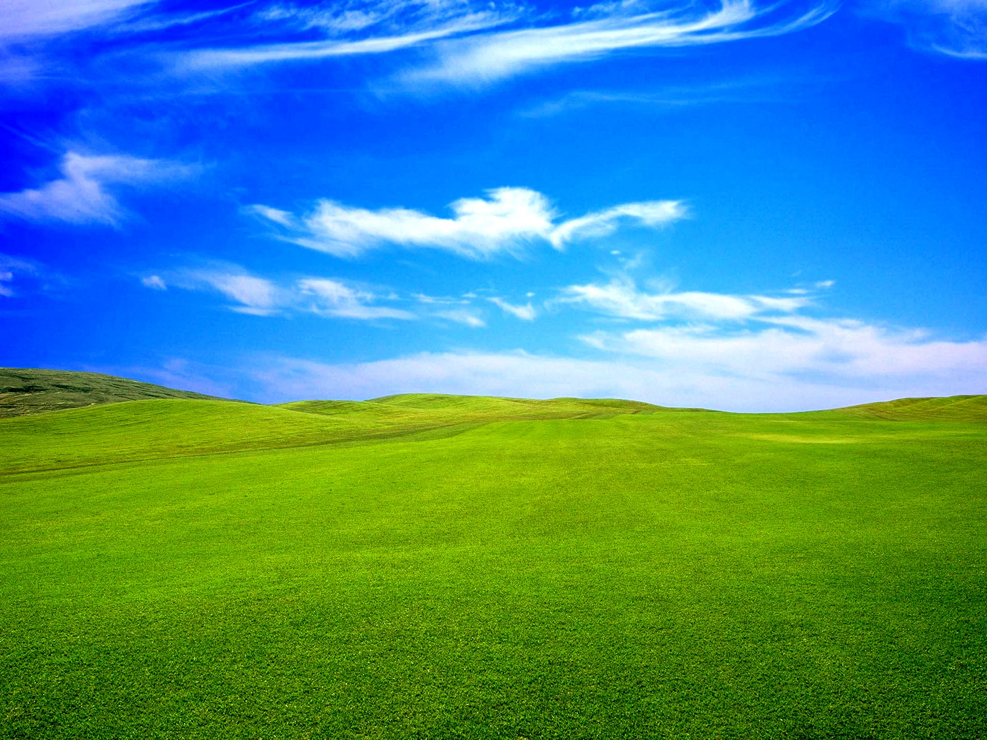 Green Grass And Sky Wallpaper