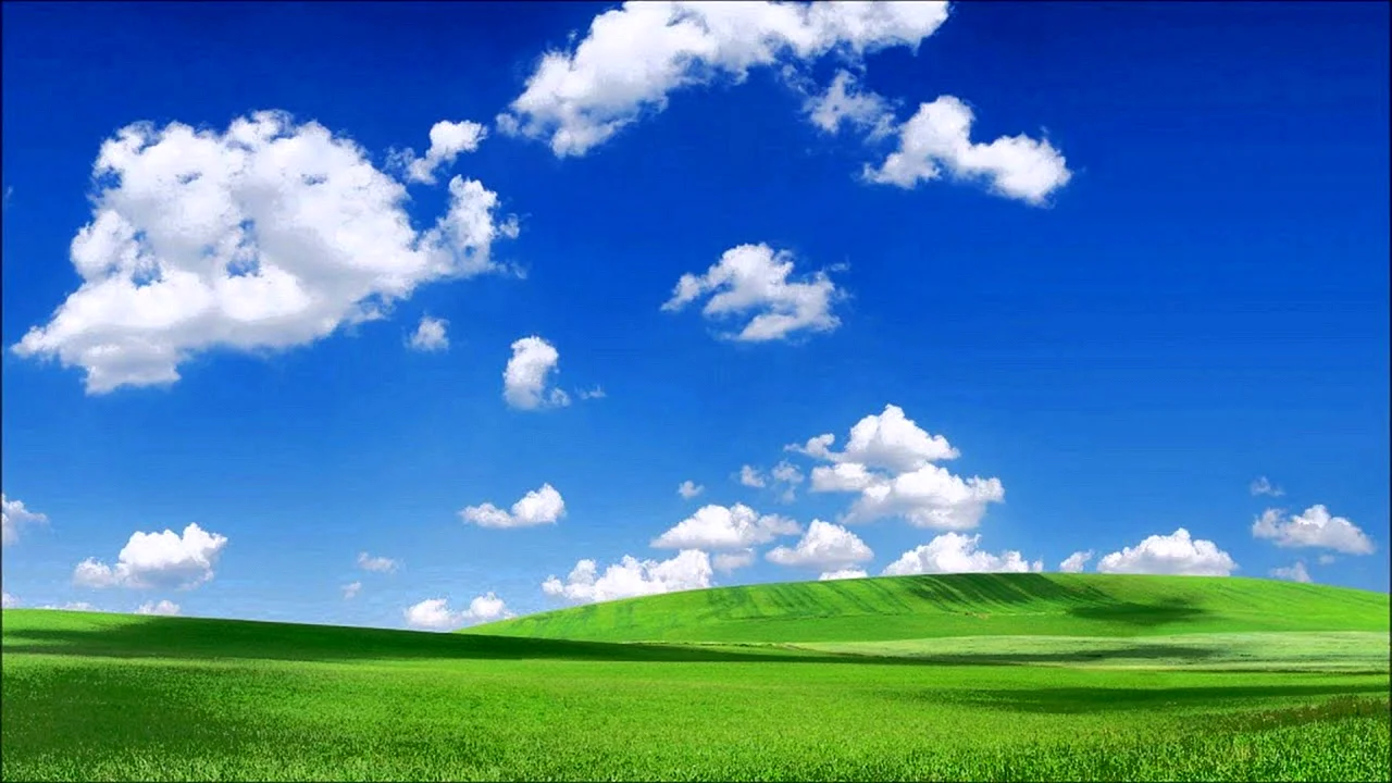 Green Grass And Sky Wallpaper