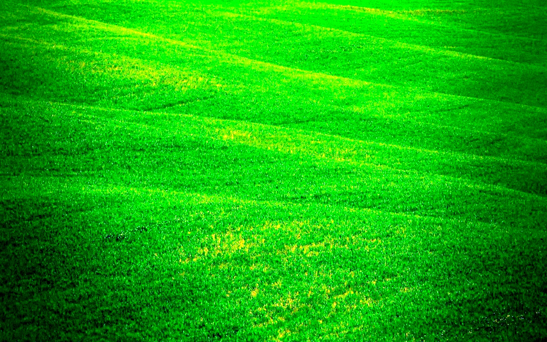 Green Grassland Wallpaper
