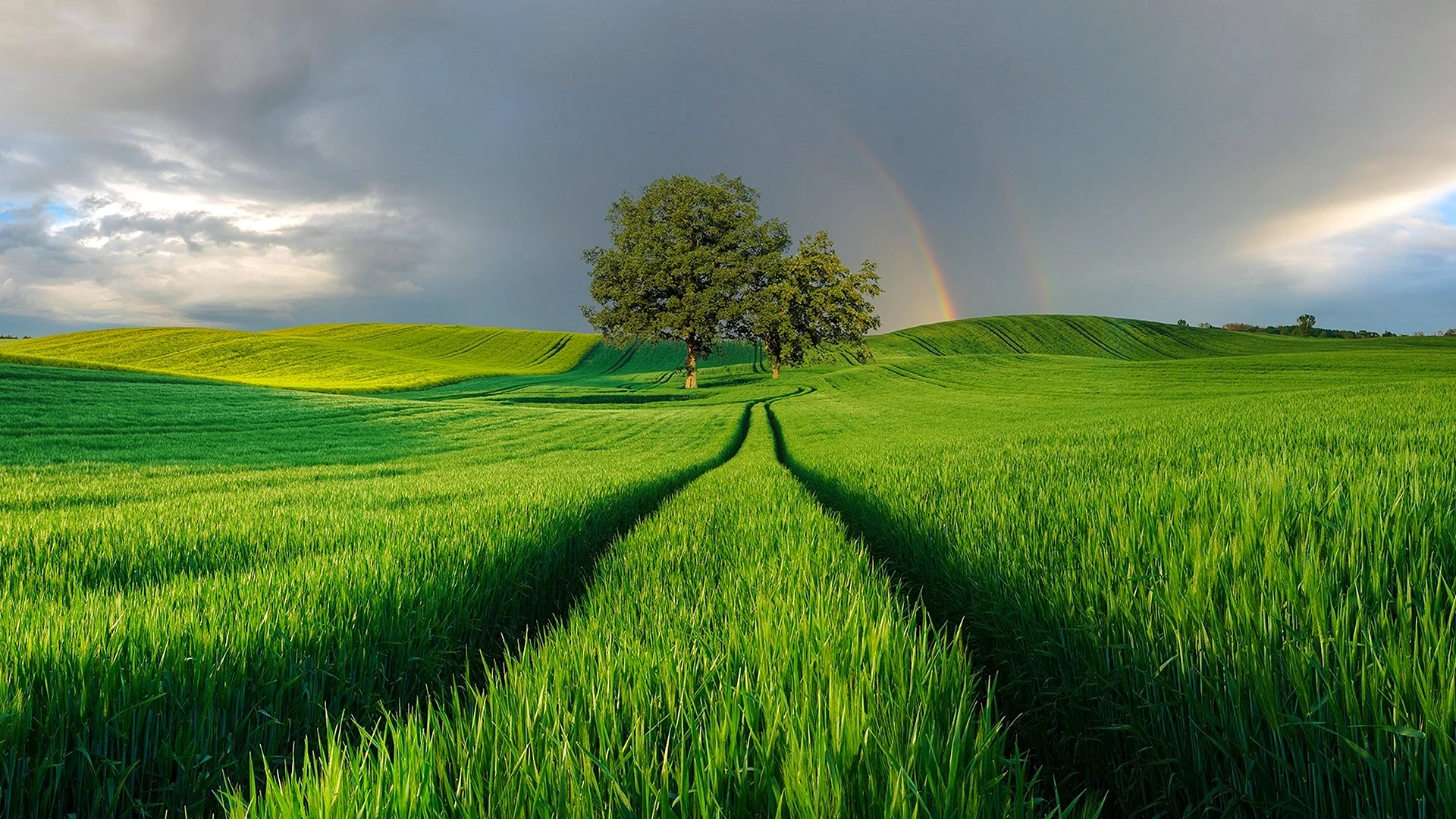 Green Landscape Wallpaper