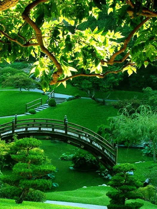 Green Landscape Garden Wallpaper