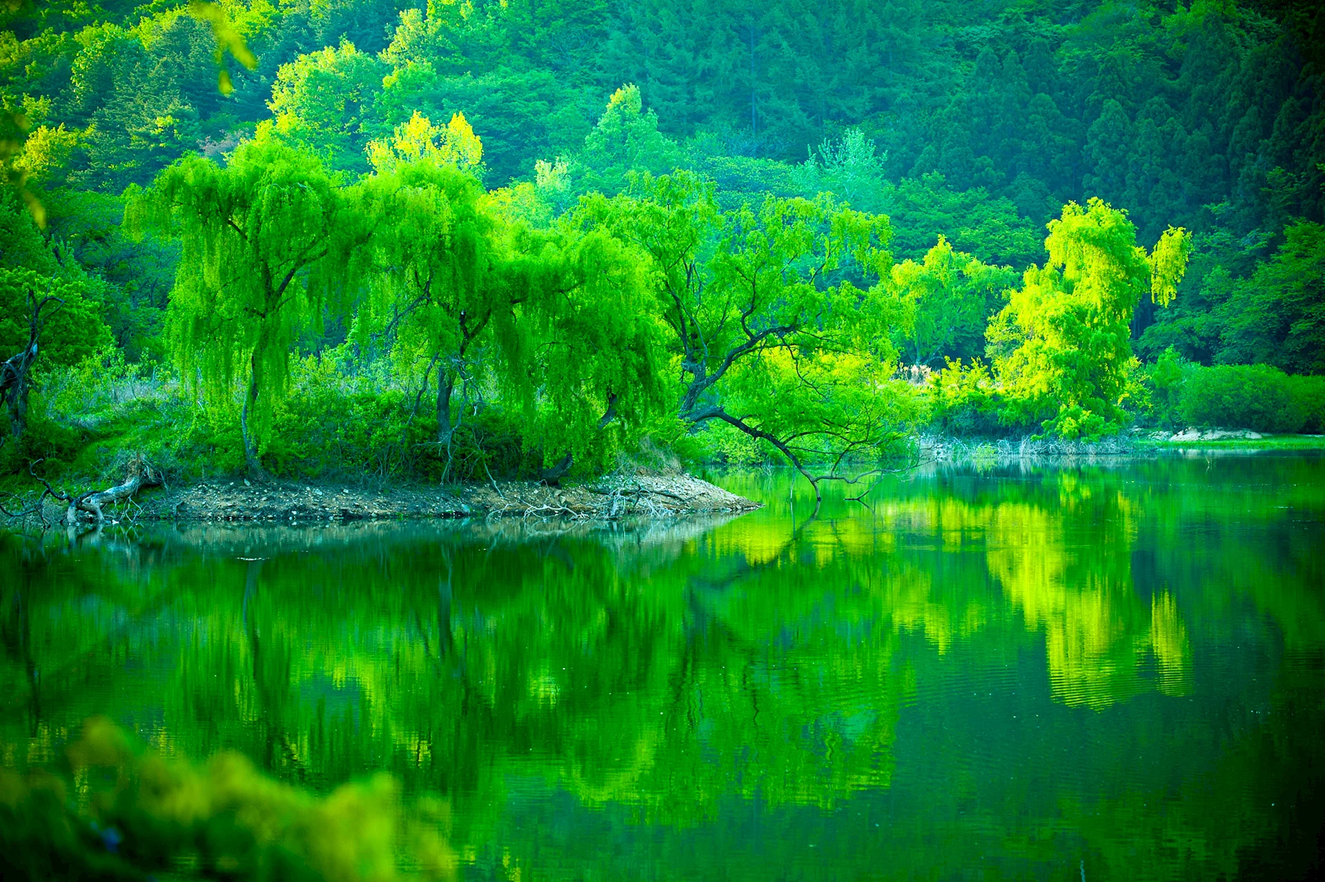 Green Landscape With Water Wallpaper