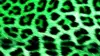 Green Leopard Print Wallpaper