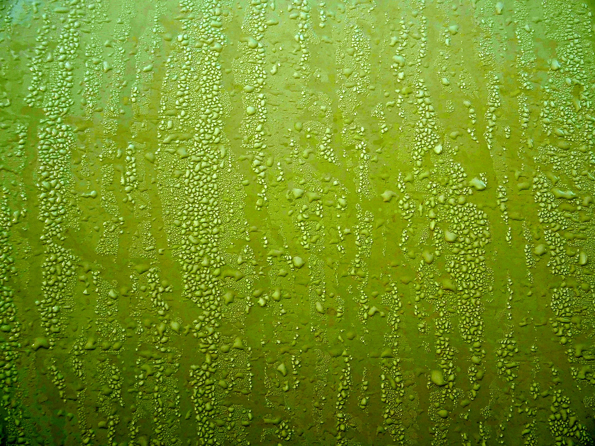 Green Metal Background Wallpaper