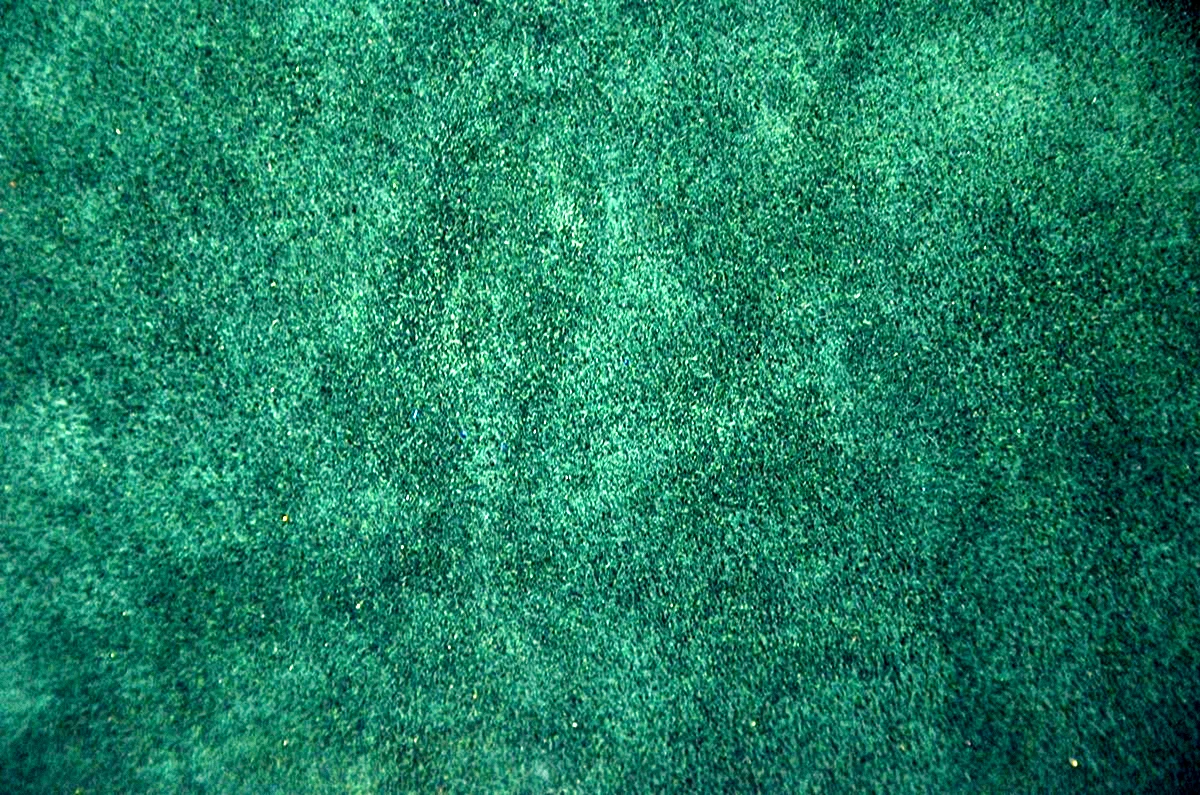 Green Velvet Fabric Texture Wallpaper