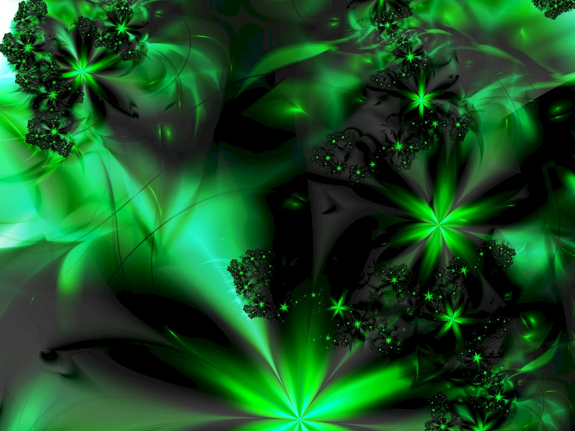 Green Wallpaper