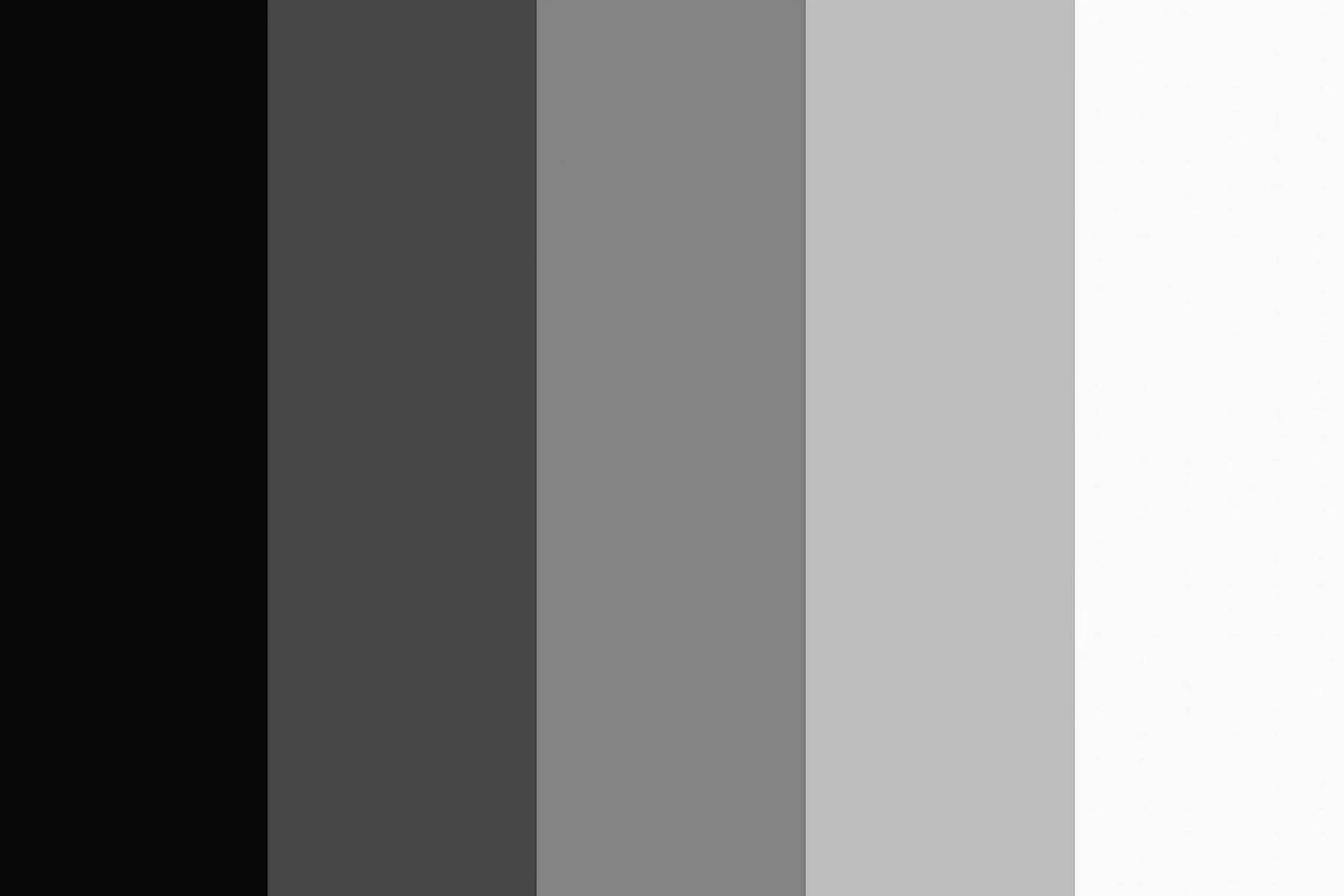 Grey Color Palette Wallpaper