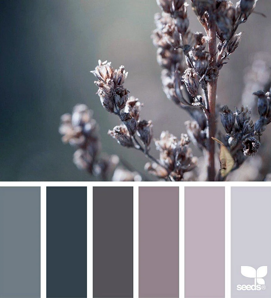 Grey Palette Wallpaper