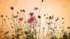 Grudge Vintage Flower Background Wallpaper