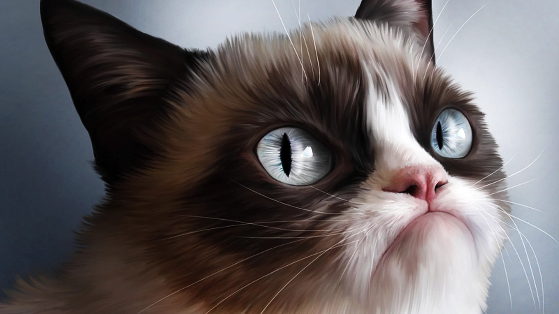 Grumpy Cat Wallpaper