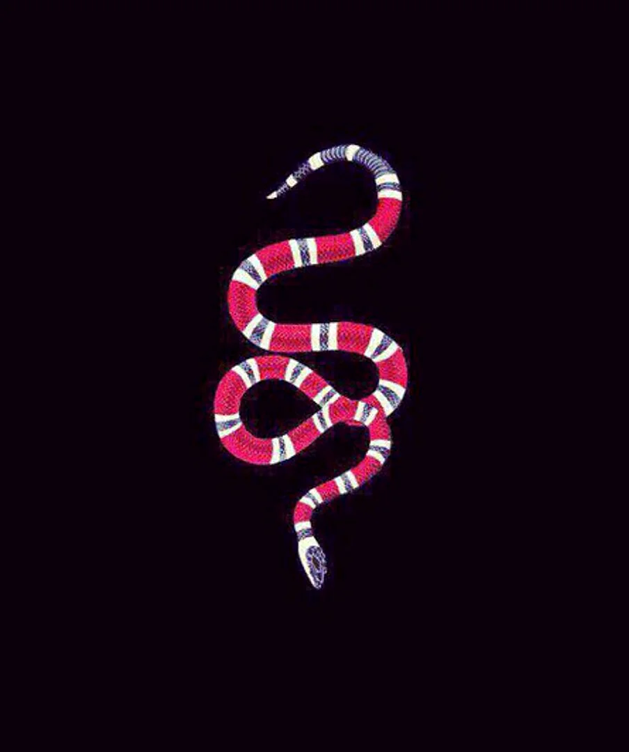 Gucci Snake Wallpaper For iPhone