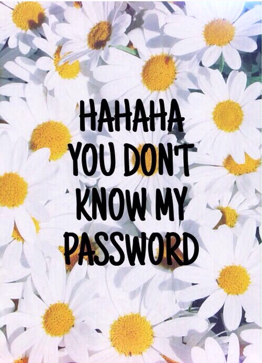 Haha You Dont Know My Password Wallpaper For iPhone