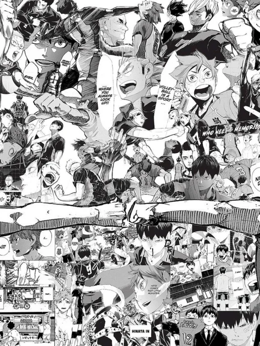 Haikyuu Manga Wallpaper