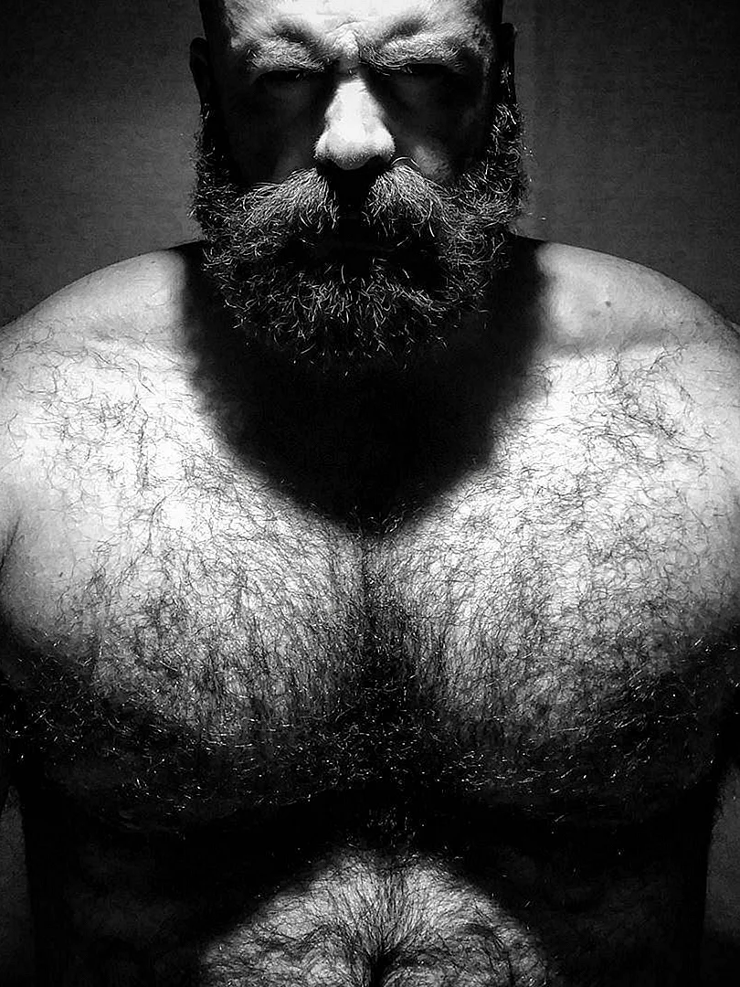 Hairy Chest Bear Wallpaper For iPhone