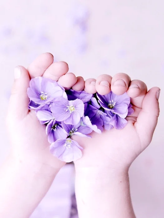 Hand With Flower Wallpaper