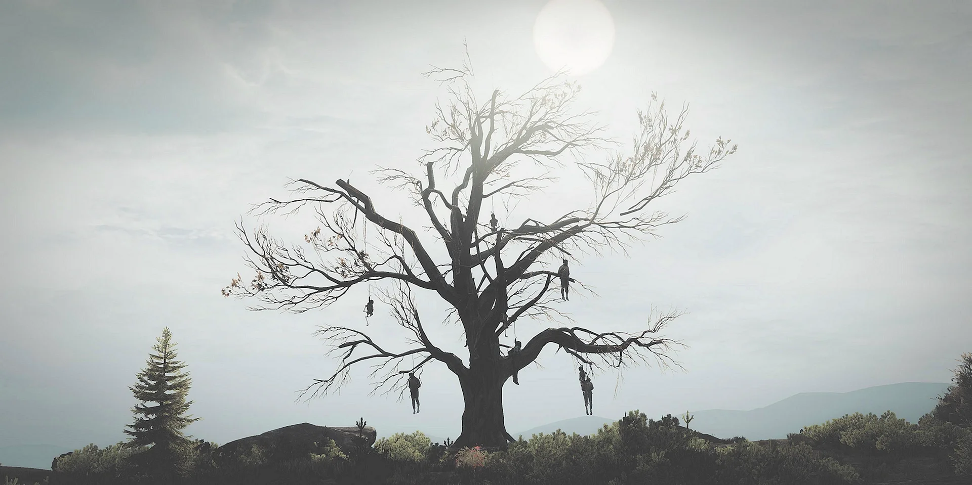 Hanging Tree Wallpaper