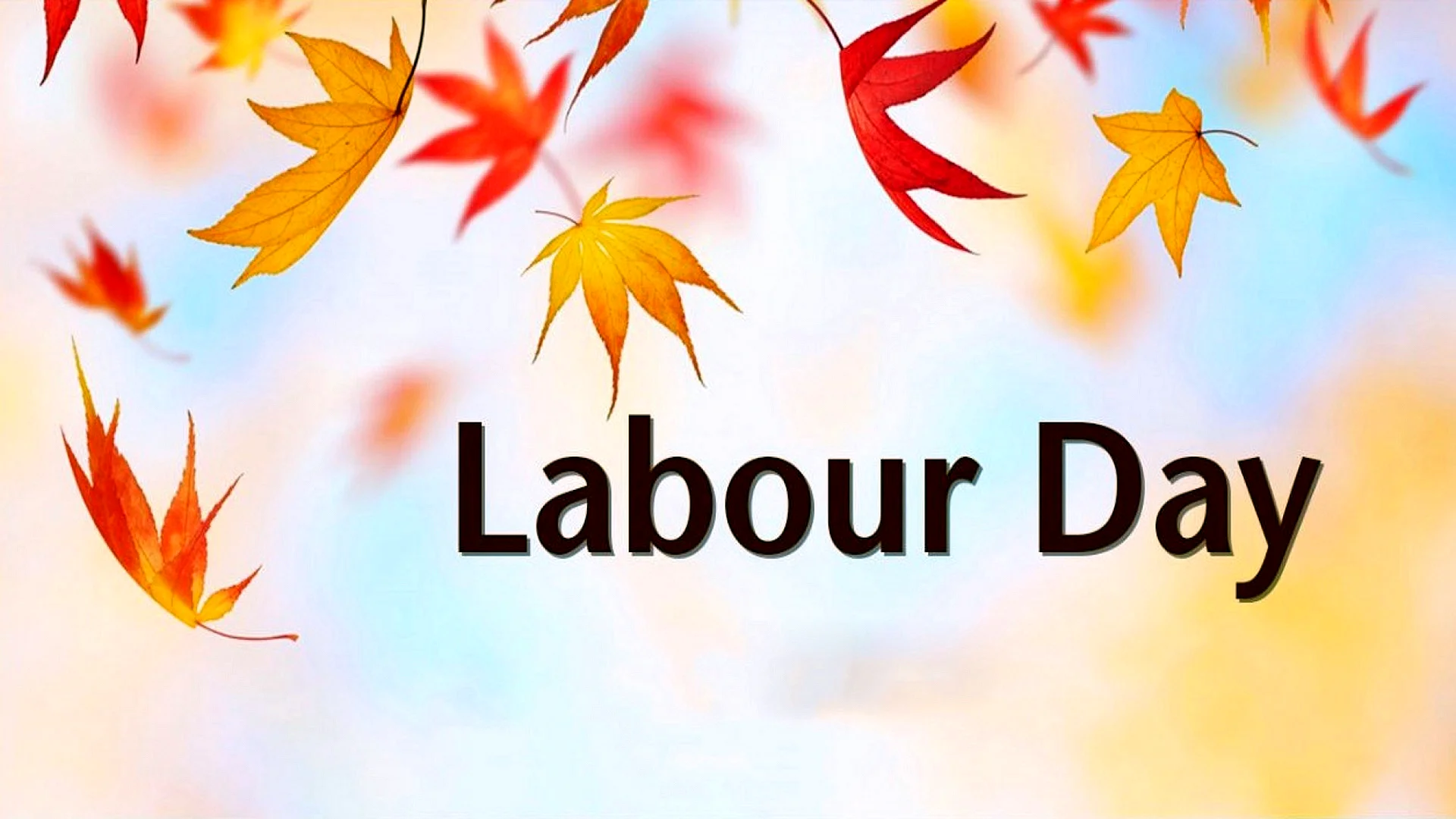 Happy Labour Day Wallpaper