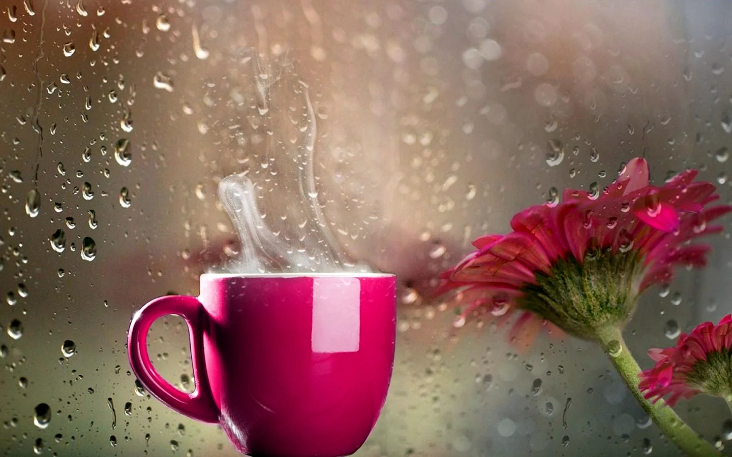 Happy Rainy Morning Wallpaper