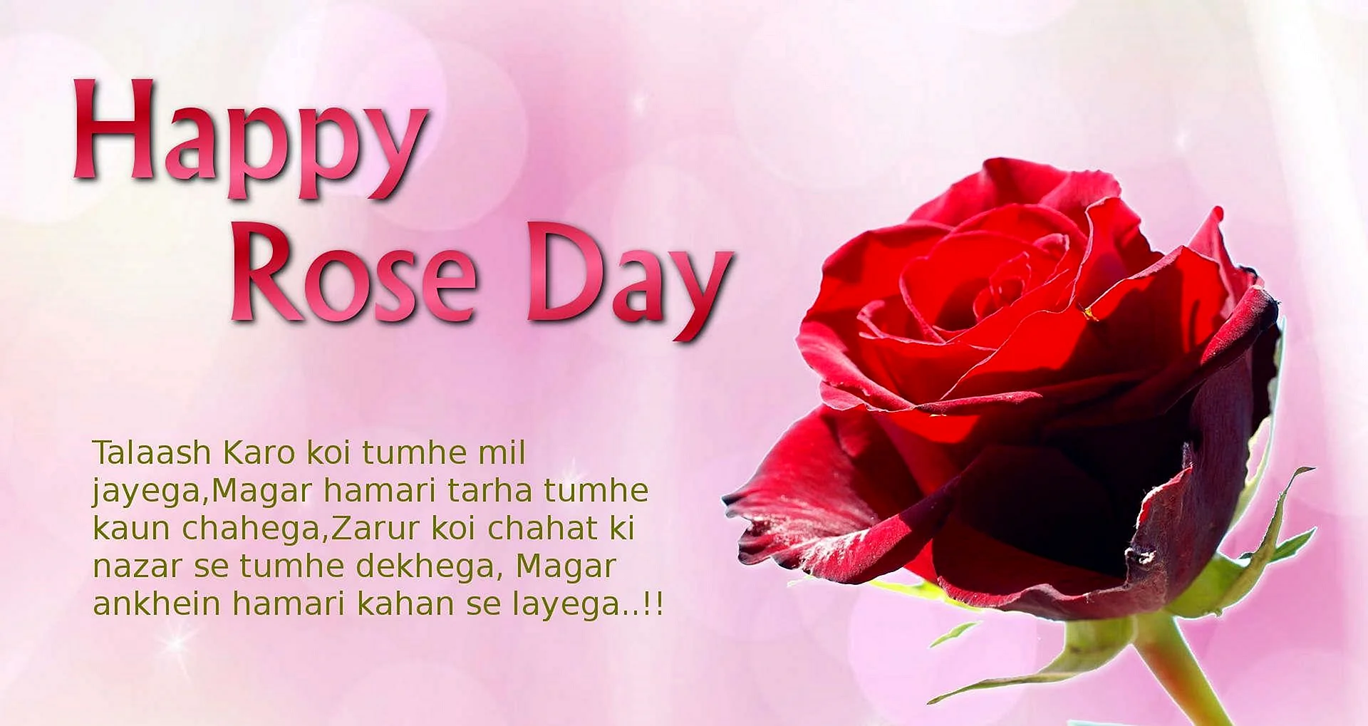 Happy Rose Day Wallpaper