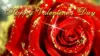 Happy Valentines Day Rose Wallpaper