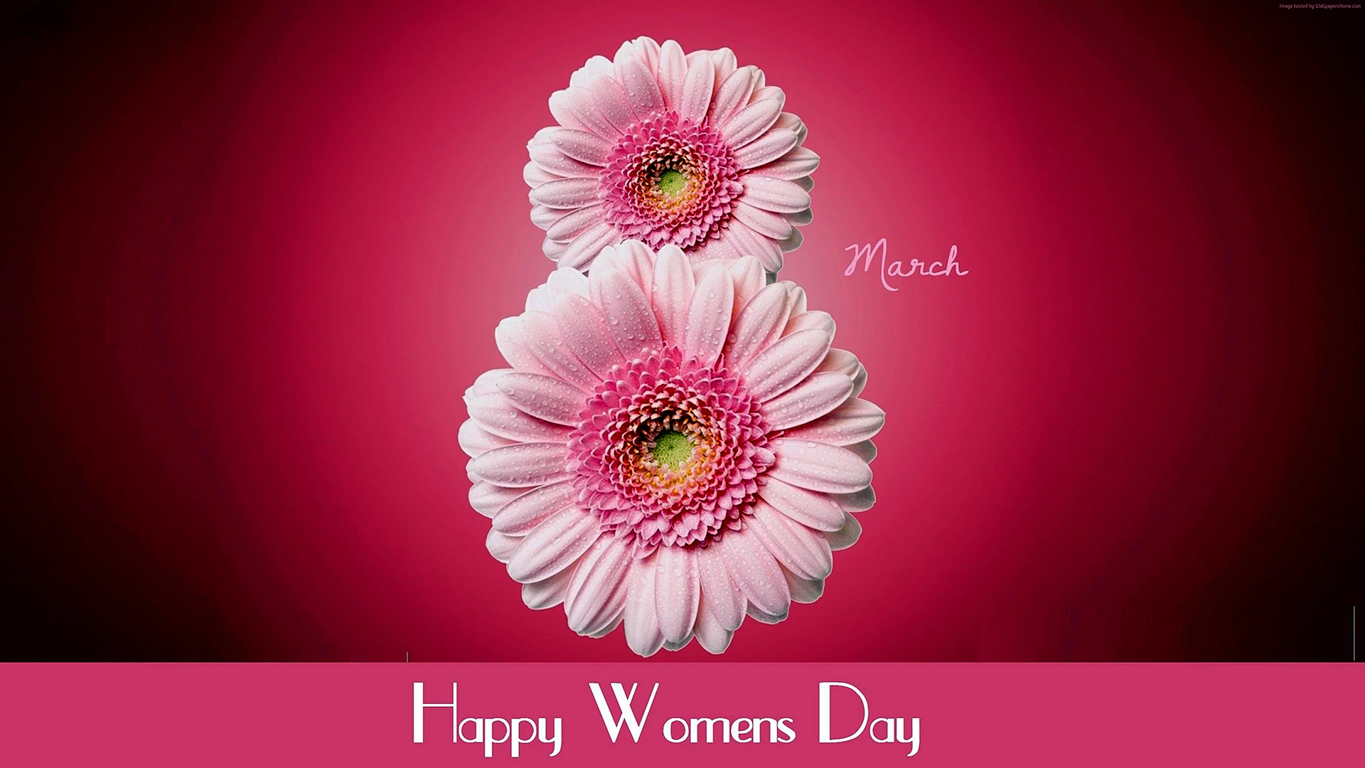 Happy Women S Day Wallpaper