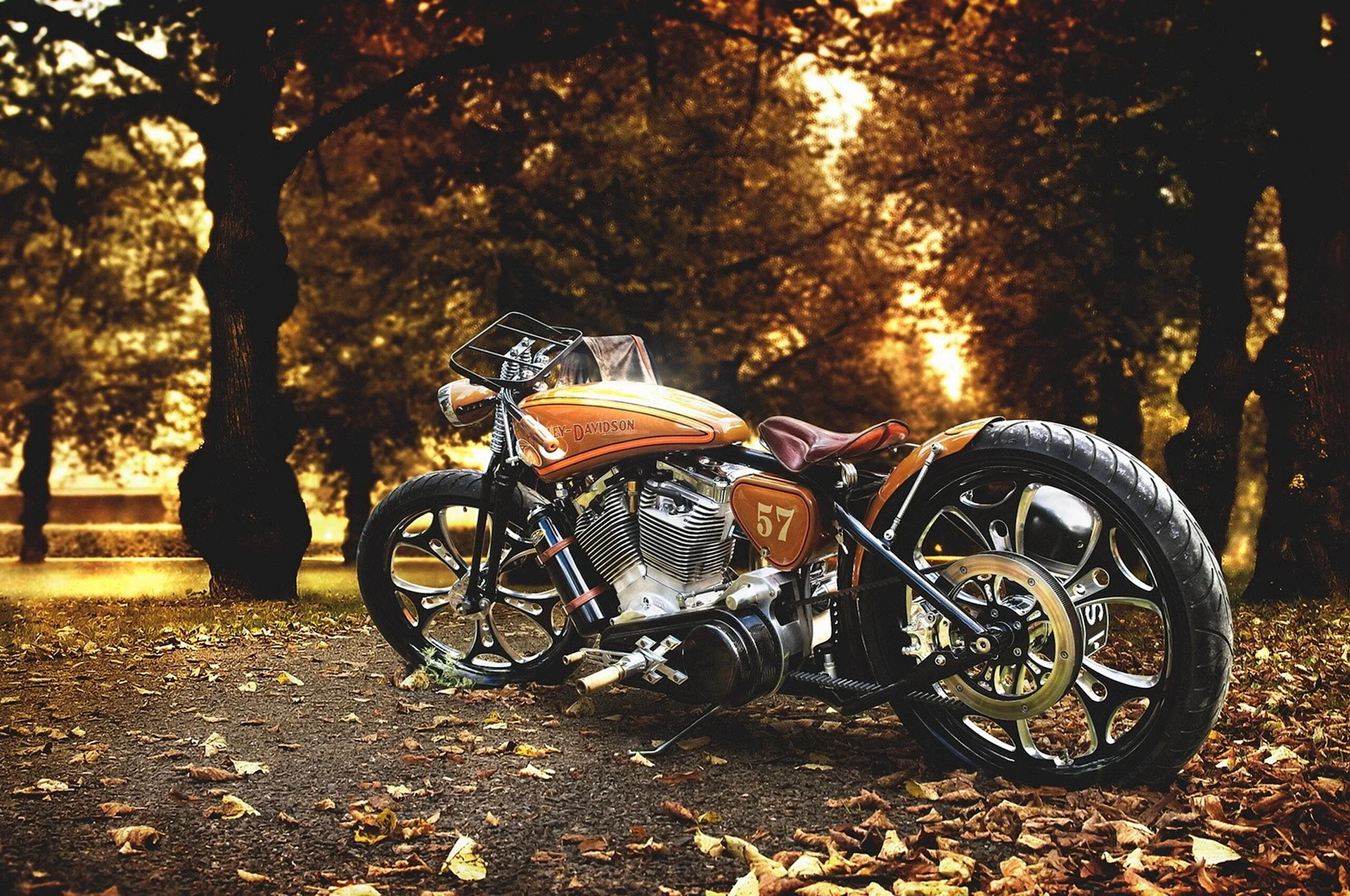 Harley Davidson Wallpaper
