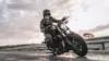Harley Davidson 883 4k Wallpaper