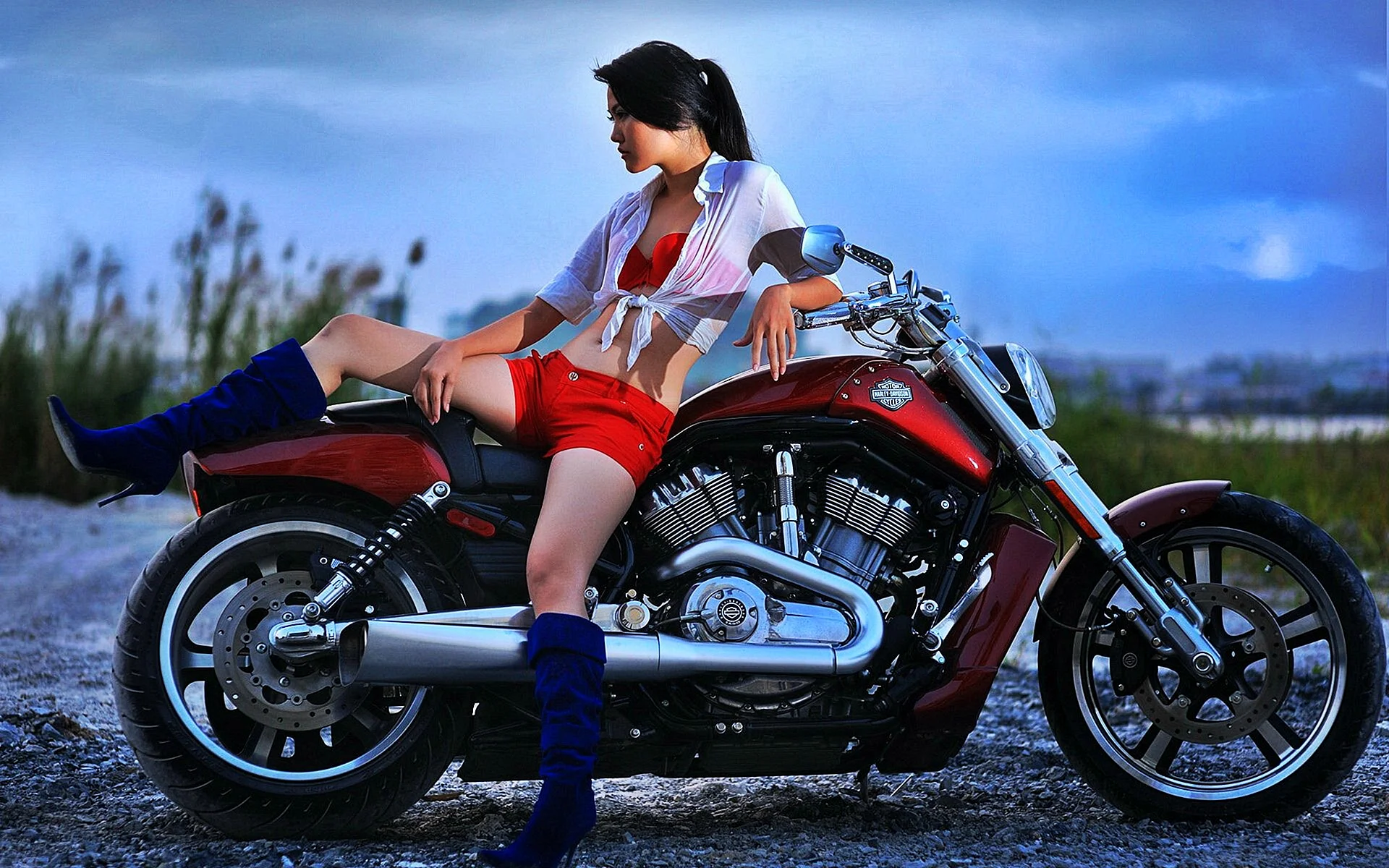 Harley Davidson Motorcycle Girl Wallpaper