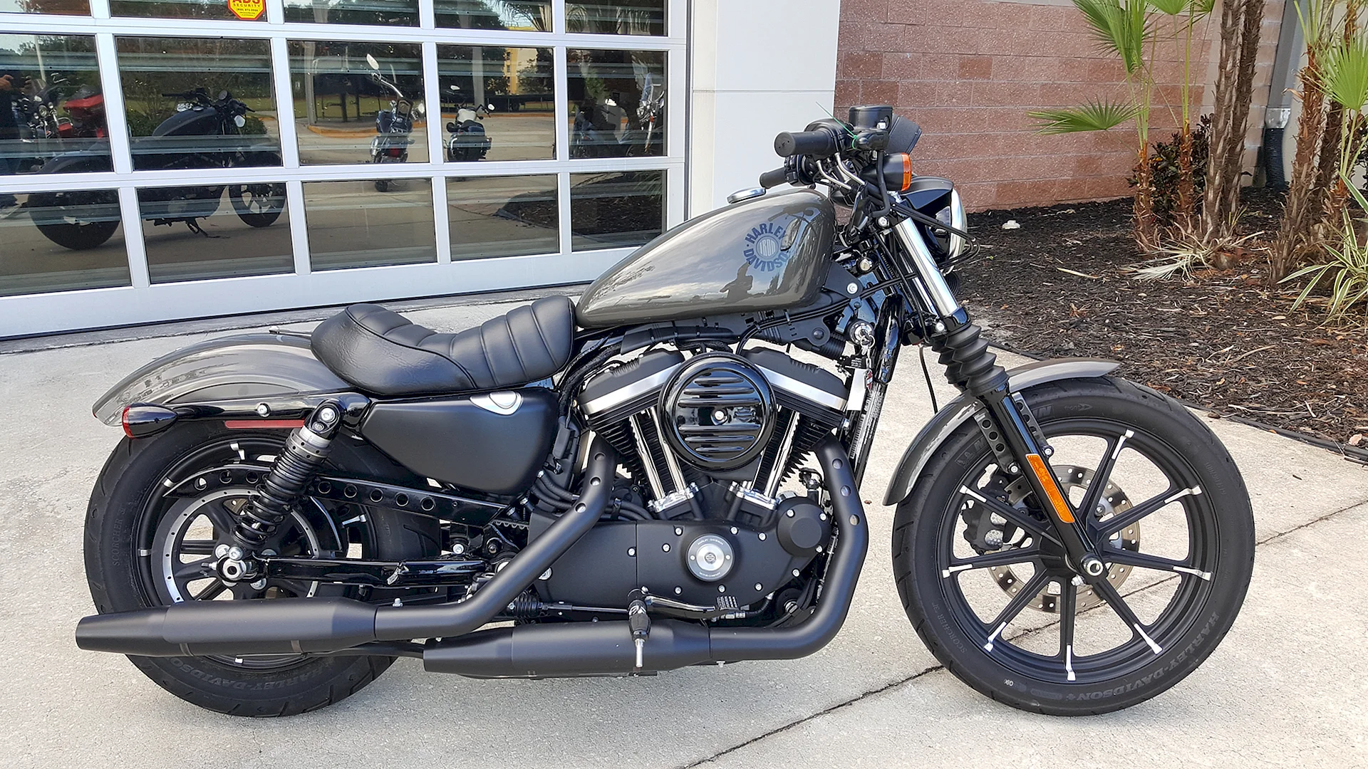 Harley Davidson Sportster 883 Wallpaper
