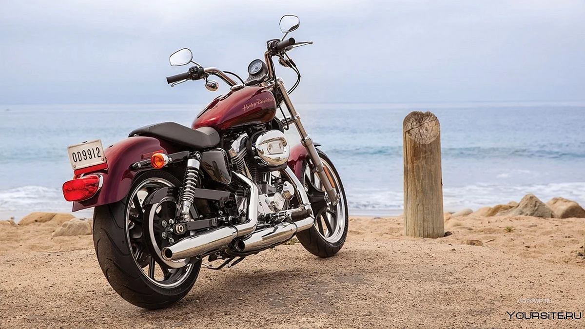 Harley Davidson Xl883l Wallpaper