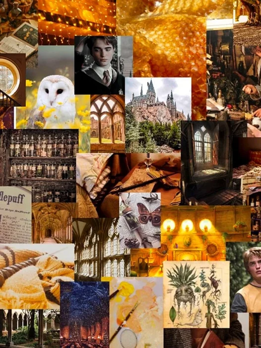 Harry Potter Aesthetic Collage Wallpaper