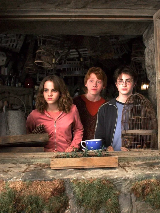 Harry Potter And The Prisoner Of Azkaban 2004 Wallpaper