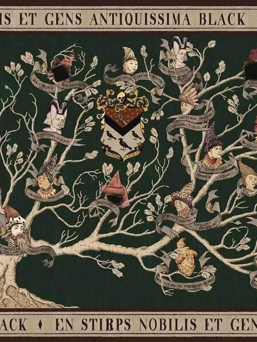 Harry Potter Black Family Tree Wallpaper