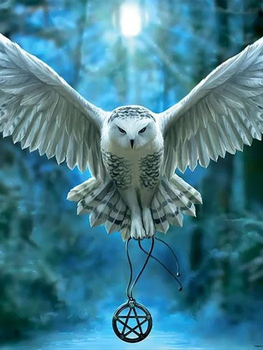Harry Potter Owl Wallpaper