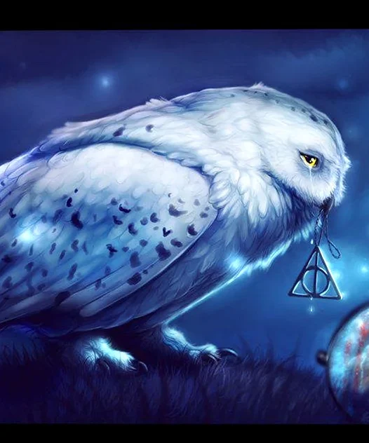 Harry Potter Owl Wallpaper