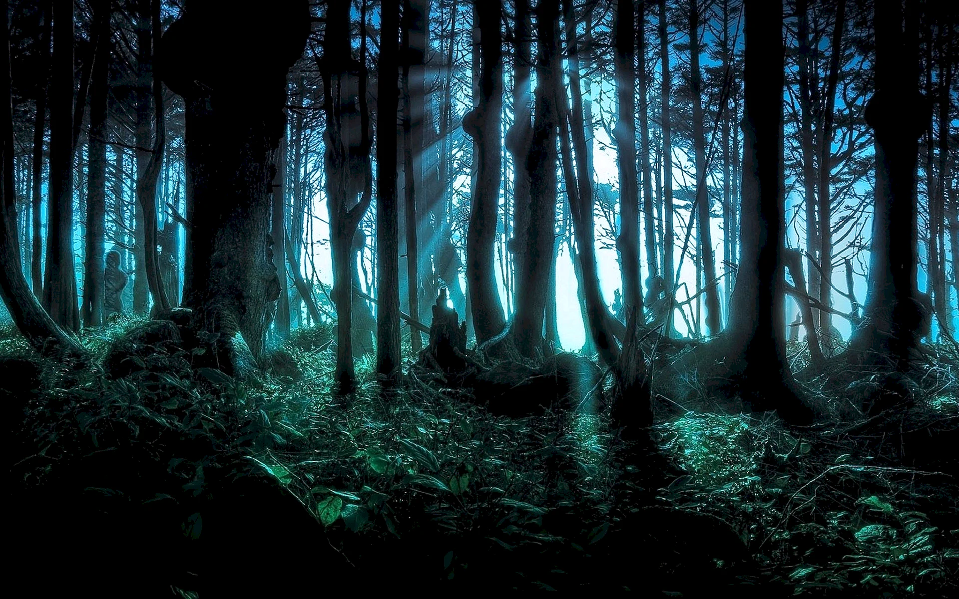 Haunted Forest Wallpaper