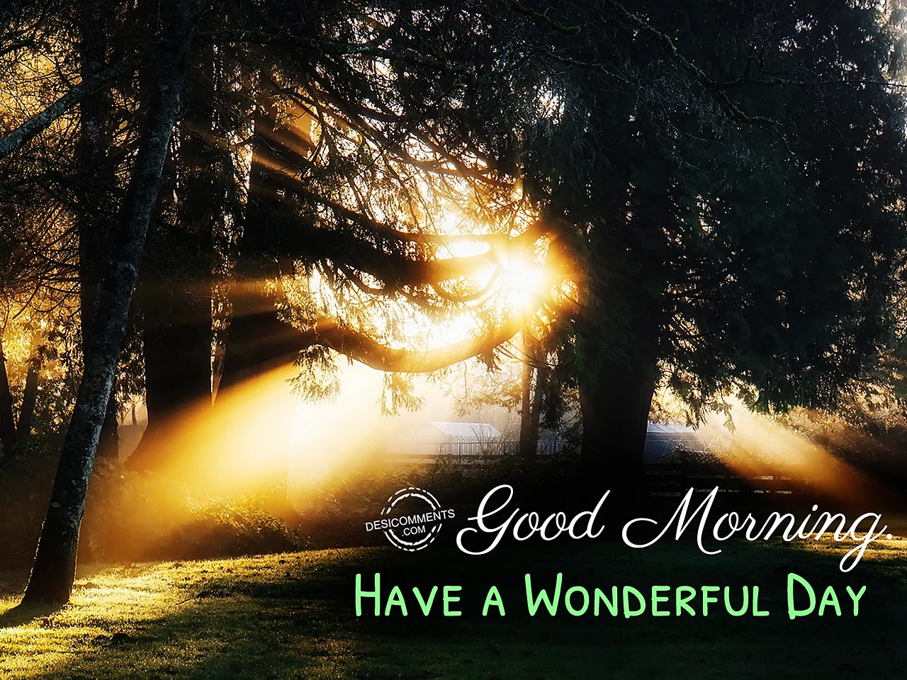 Have A Wonderful Day Wallpaper