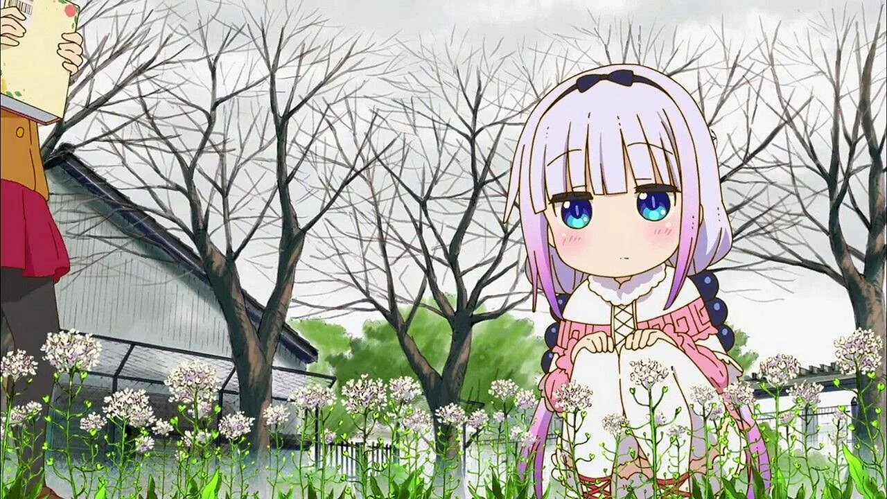 HD Kanna Wallpaper