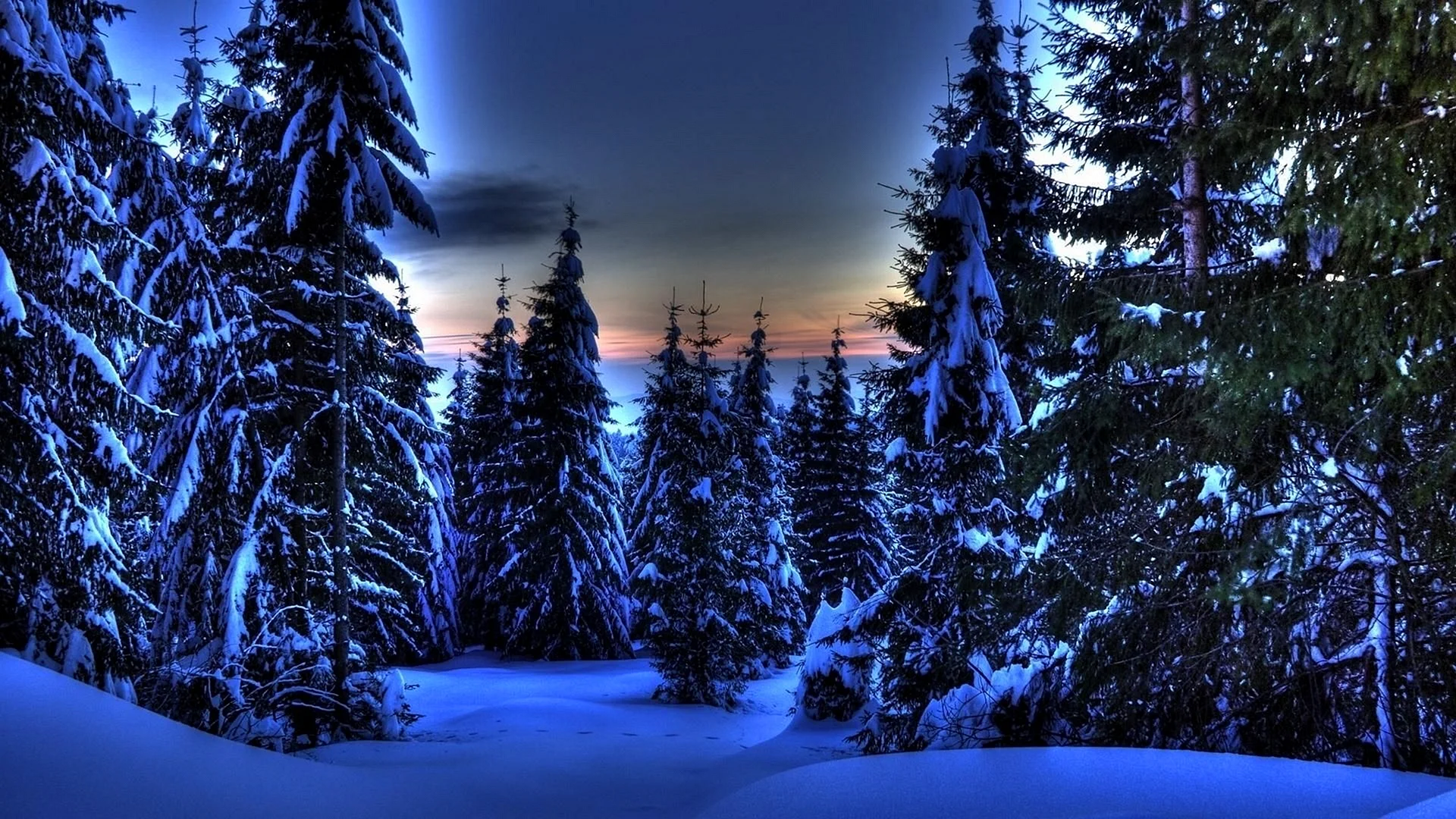 HDr Winter Wallpaper