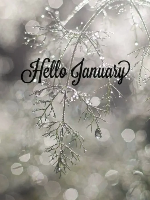 Hello January Wallpaper For iPhone