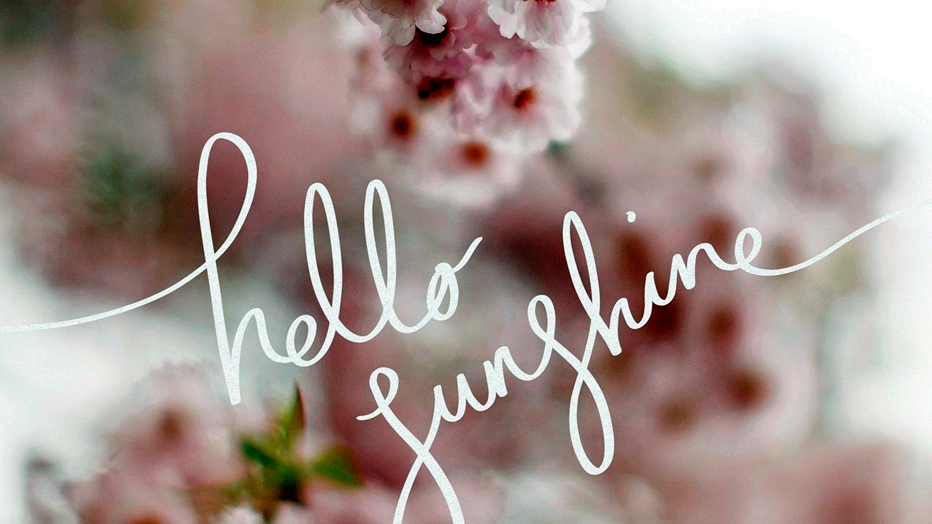 Hello Spring Wallpaper