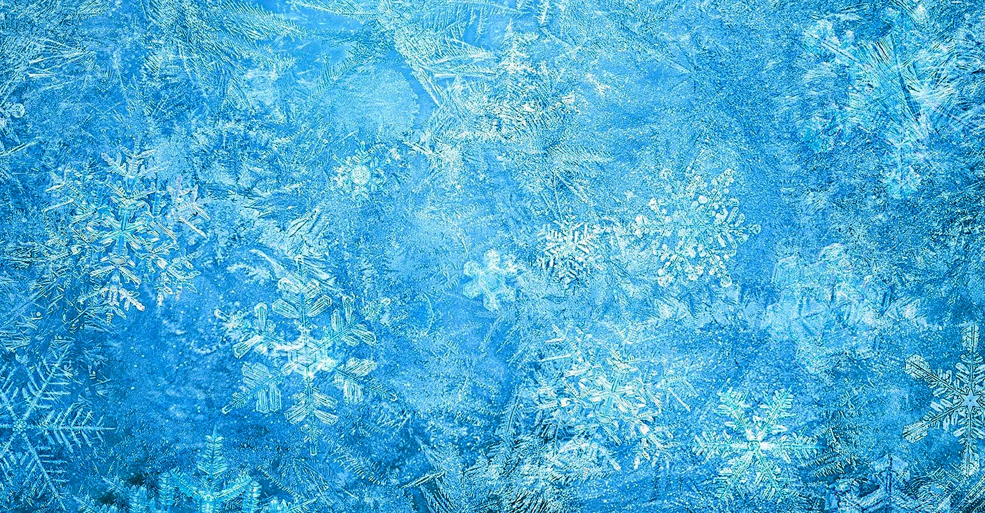 Hielo Frozen Wallpaper