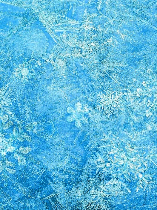 Hielo Frozen Wallpaper