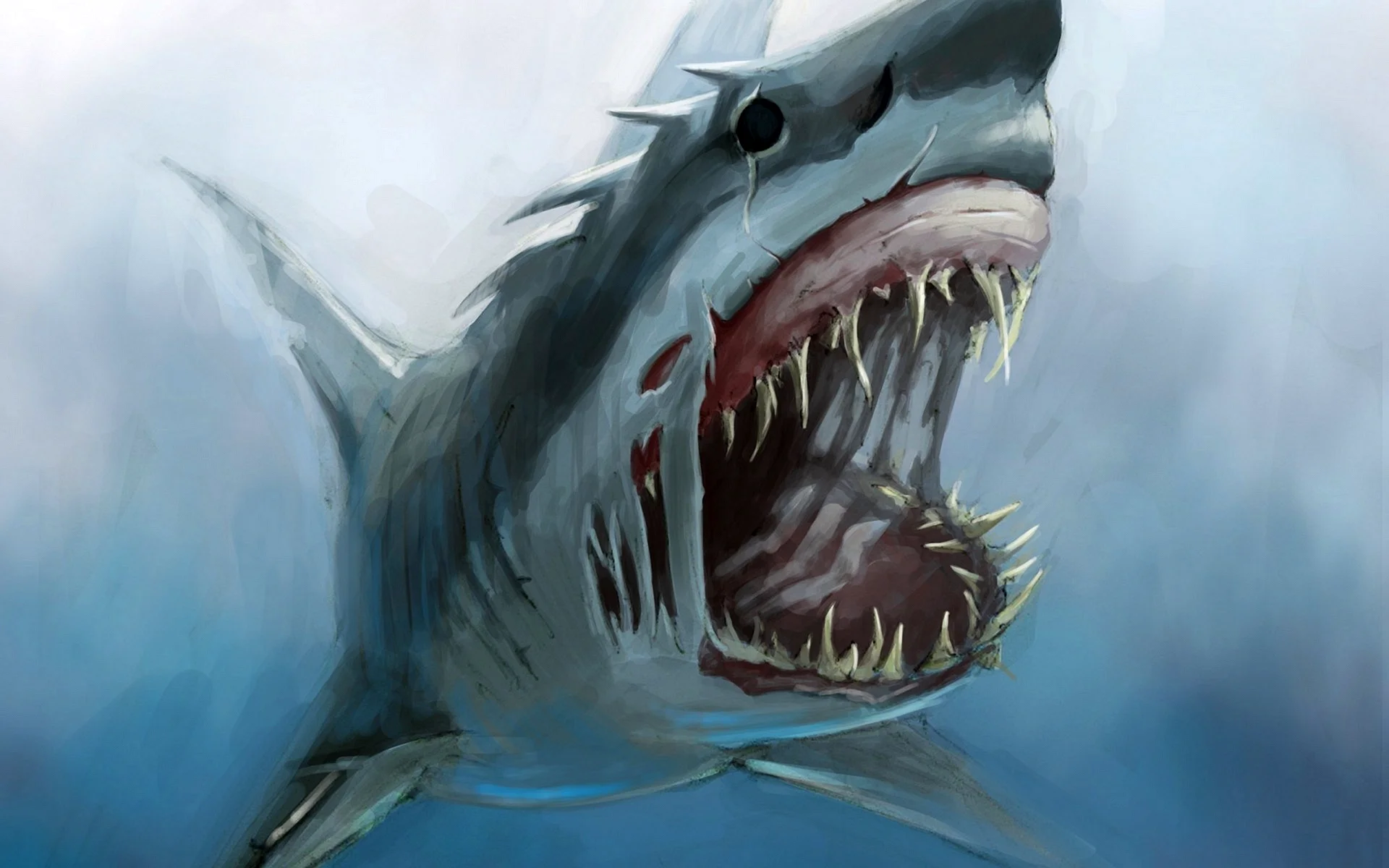 Hiu Megalodon Wallpaper