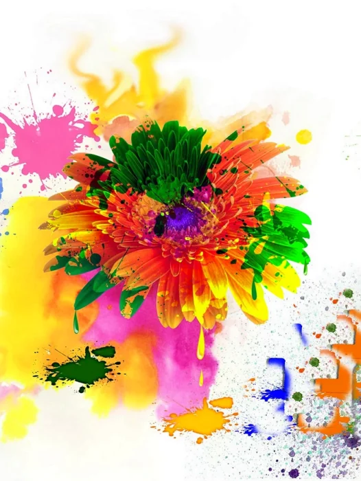 Holi Color Background Wallpaper