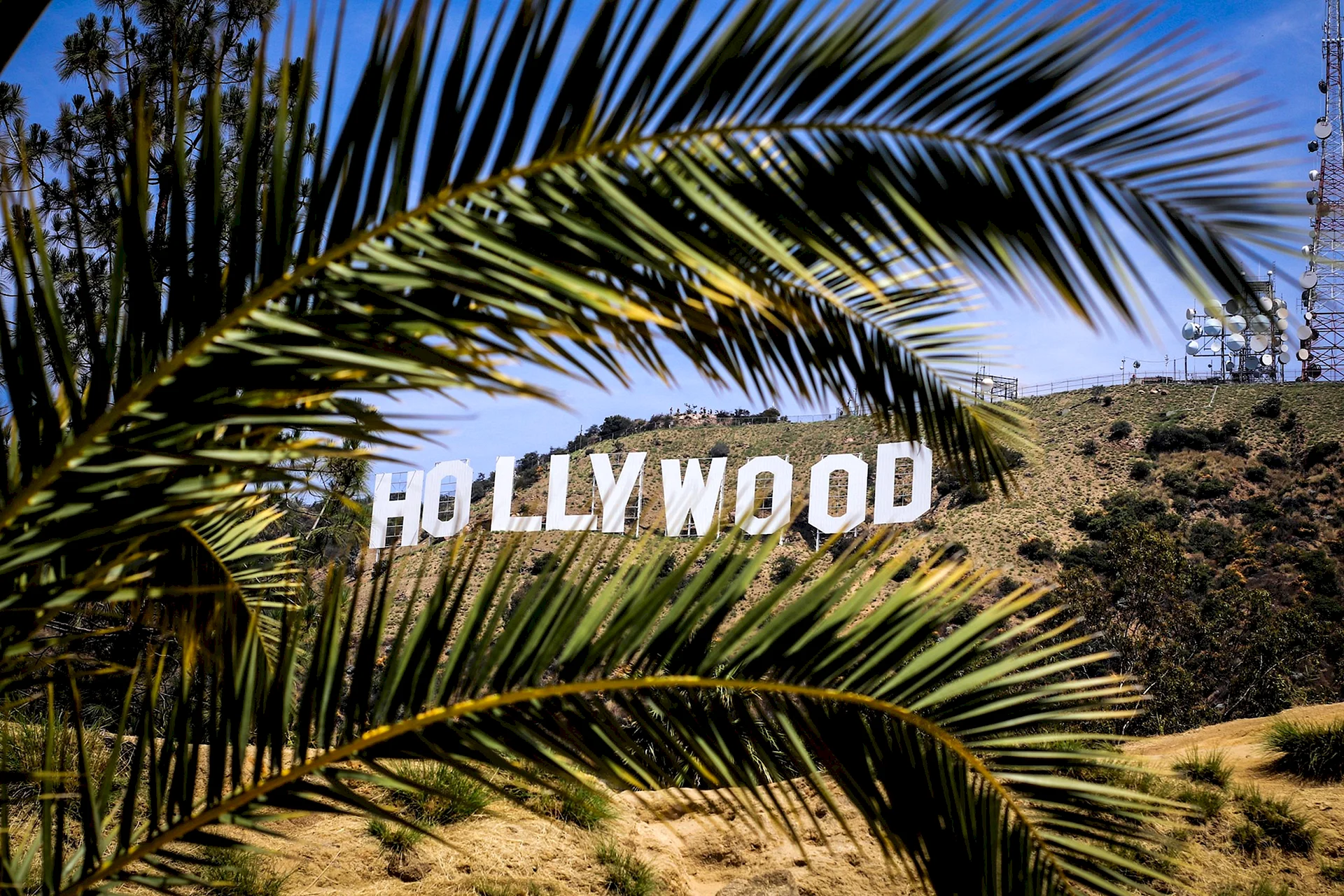 Hollywood Wallpaper