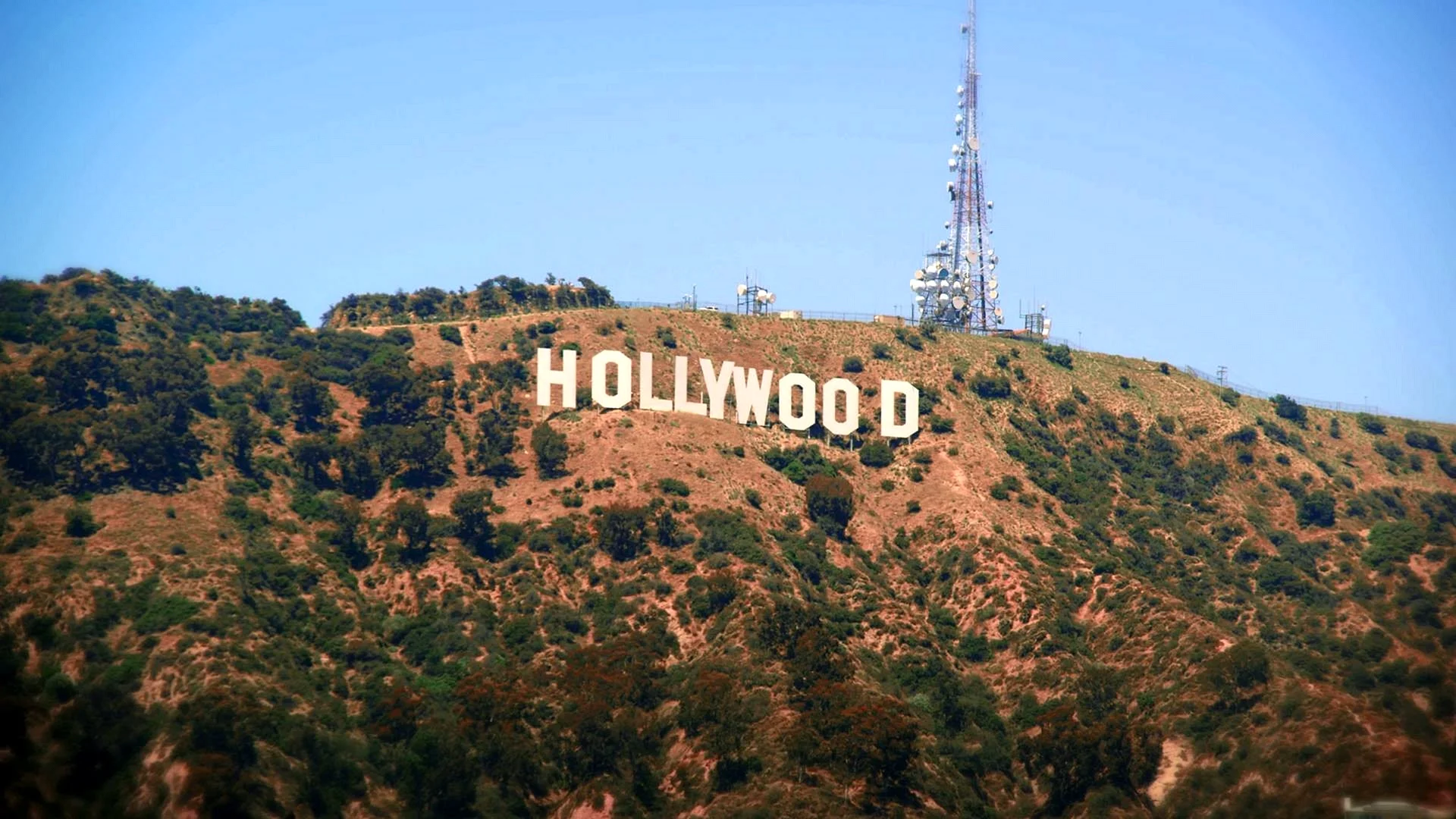 Hollywood Wallpaper